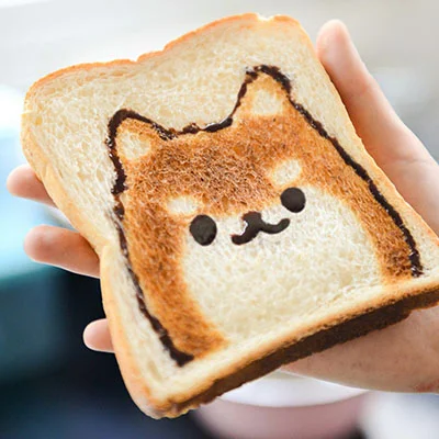 宠物猫需要多少钱（宠物猫咪多少钱）
